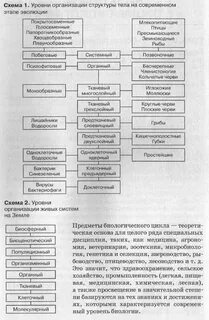Методы и уровни биология