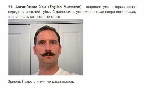 Сказка про усы. Стихи про усики. Стих у кого растут усы. Носи усы. Сказка про усы.