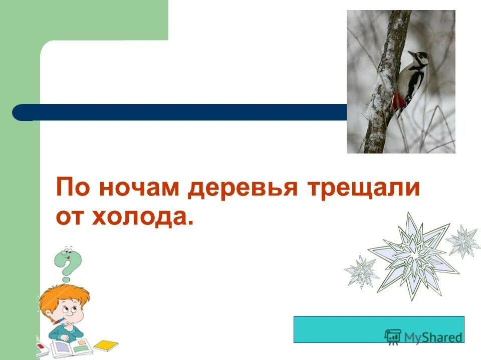 упр 576. как в декабре деревья трещали от холода. в лесу трещат от холодов деревья а под ивой. деревья трещат от мороза. в лесу трещат от холодов деревья.
