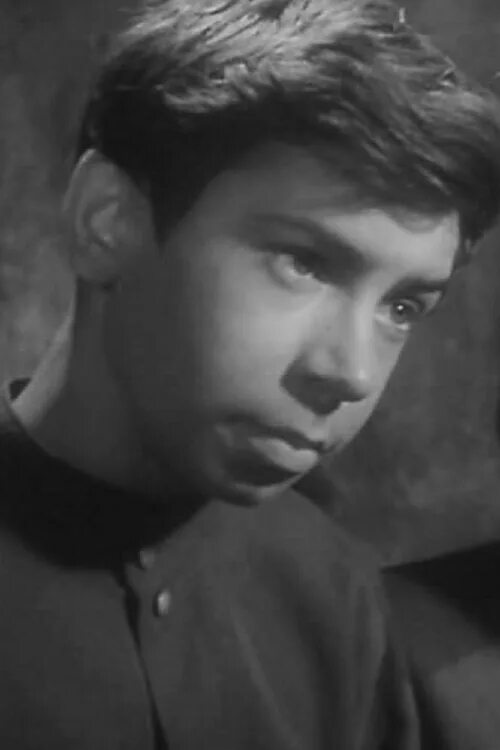 Михаил поляк. Лев поляков кинотеатр. Поляк актер википедия. Михаил поляк актер фото. Поляк актер википедия.