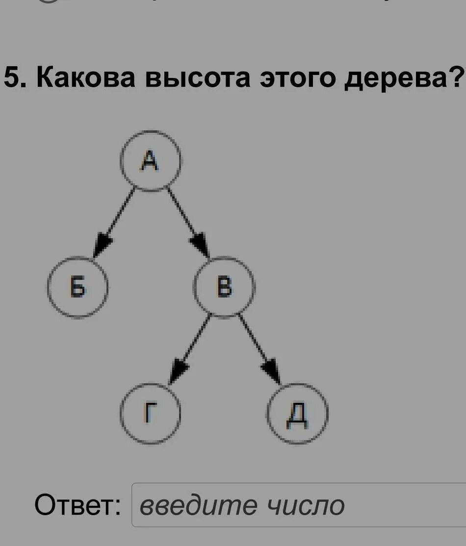 Какова высота этого дерева ответ