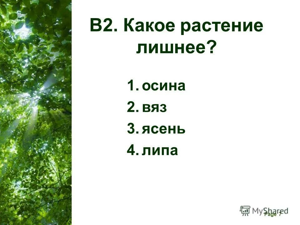 тест по окружающему миру 4 класс по природным зонам. тест по природной зоне леса. тесты по окружающему миру 4 класс плешаков про зоны. окружающий мир 4 класс лес проверочная работа. тест на тему природные зоны россии.