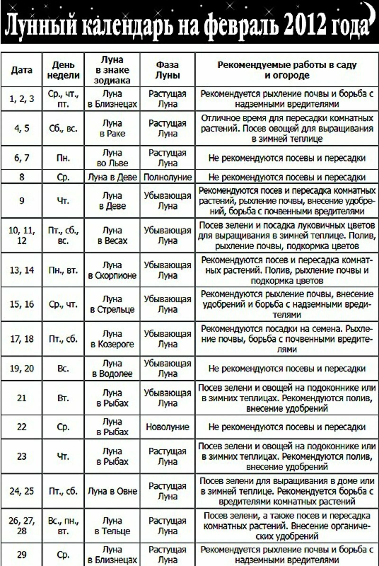 Благоприятные дни для пересадки комнатных растений. Лунный календарь для комнатных растений. Календарь комнатных растений. Календарь посадки комнатных растений. Календарь пересадки цветов на февраль 2024