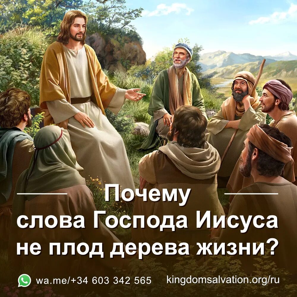 Церковь всемогущего. Господь всемогущий. секта бога всемогущего. церковь всемогущего бога. секта храм богов.