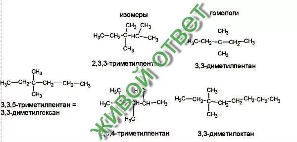 Структурная формула одного изомера и одного гомолога. Структурная формула одного изомера и одного гомолога