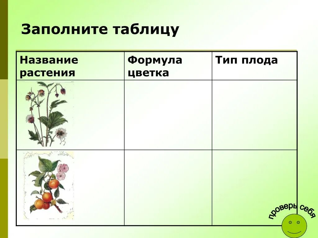 Заполните таблицу b c b c. Заполните таблицу. Таблица название растения. Заполните таблицу название растения. Таблица про цветы растения.