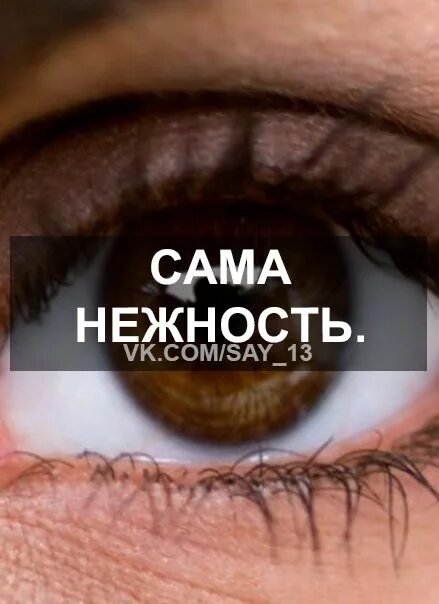 Твои глаза сводят с ума. Карие глаза сводят с ума песня. Если влюбиться в карие глаза то никогда не сможешь их разлюбить. Карие глаза сводят с ума песня. Карие глаза.