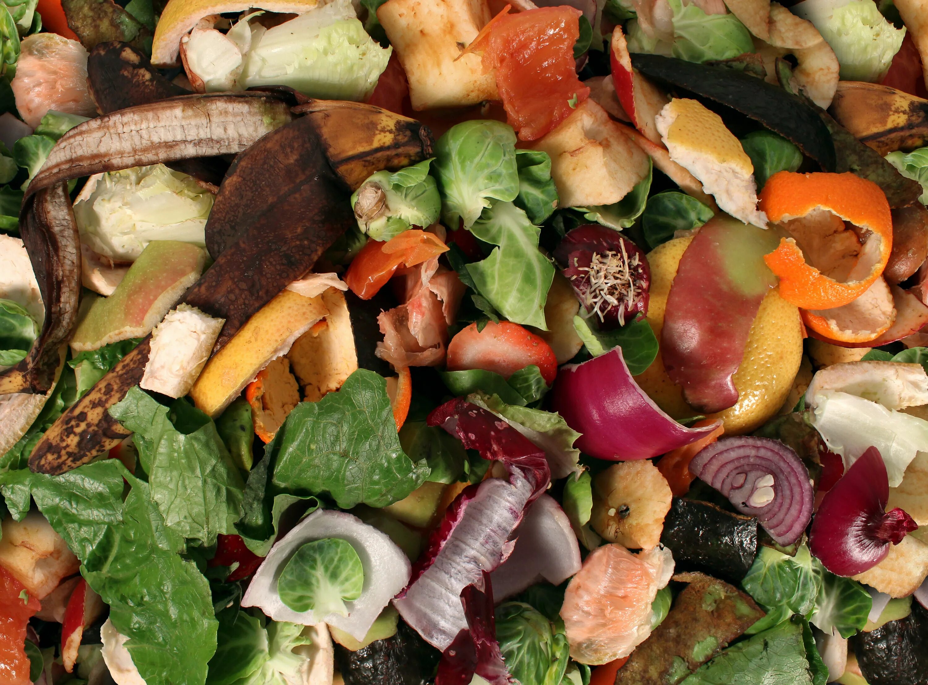 Пищевые отходы кухонь. Пищевые отходы. Пищевые органические отходы. Пищевые отходы утилизация. Овощные отходы.