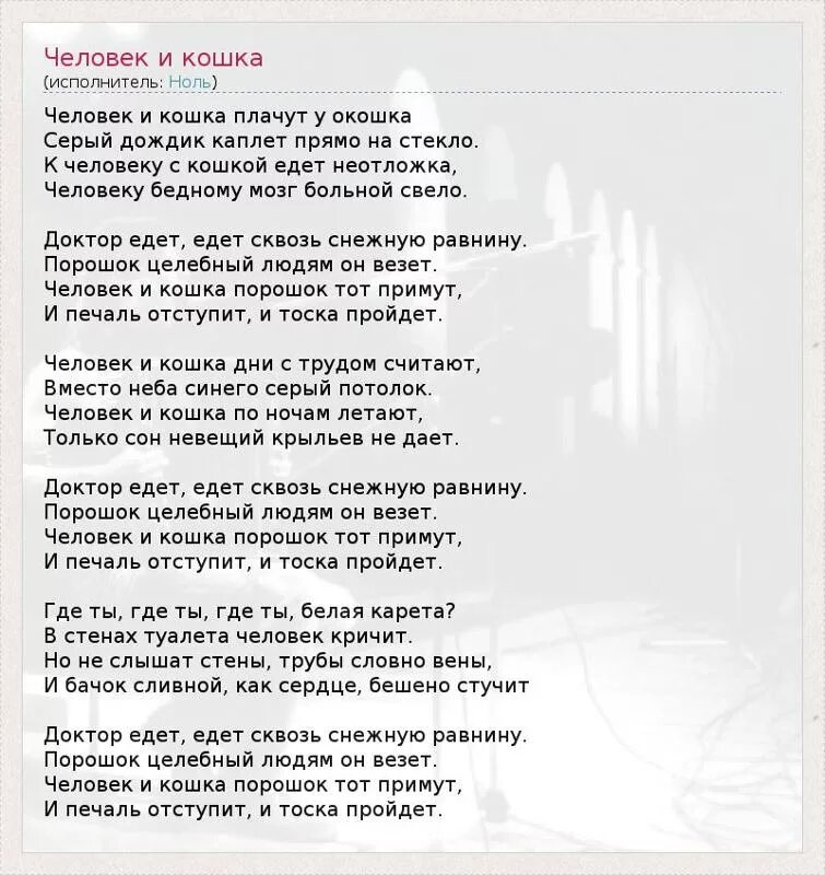 Человек и кошка текст. Человек и кошка песня текст. Слова песни человек и кошка. Человек и кошка песня текст песни. Песня я обязательно тебе напишу