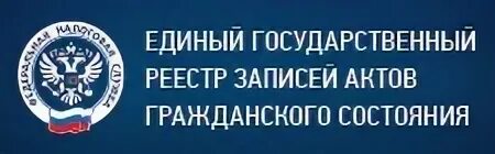 Бо фнс. Санкт-Петербургский университет технологий управления и экономики. ВГПУ Воронежский государственный педагогический университет. Воронежский государственный педагогический университет лого. ВГПУ логотип.