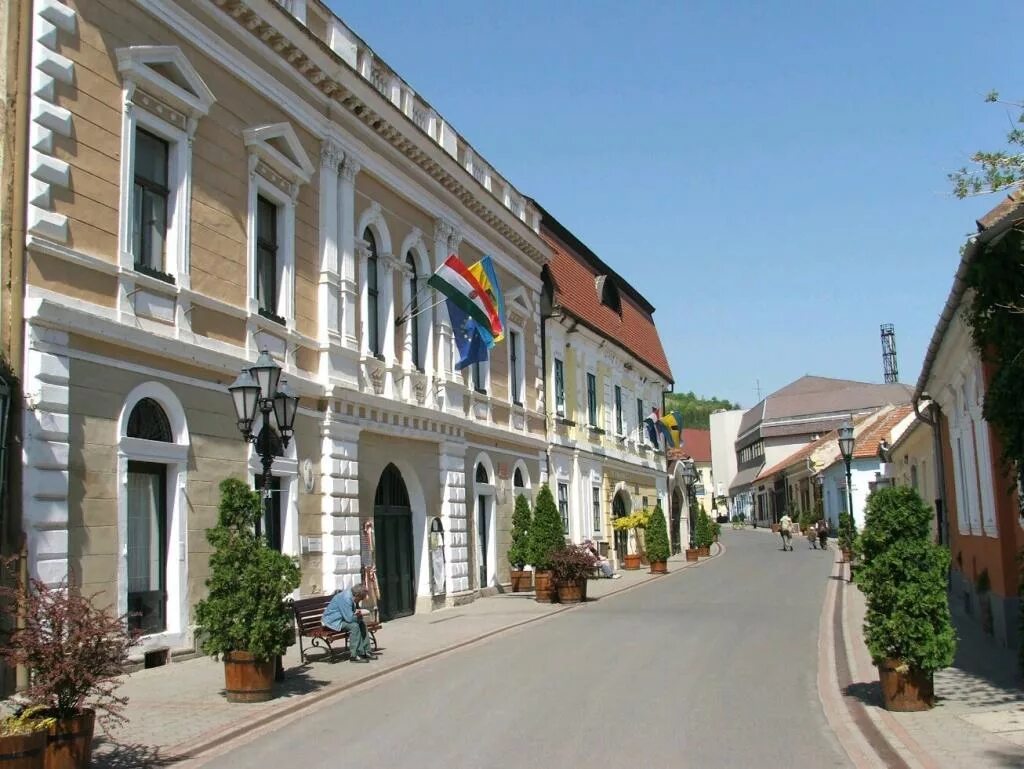 Токай венгрия. Tokaji szamorodni вино. Вино будапешт токай. Токай (село). Токай город в венгрии.