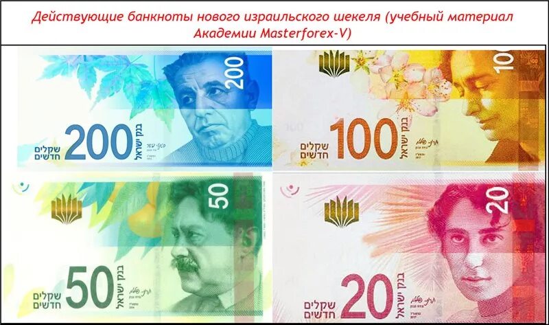 Шекели в рубли. Национальная валюта Израиля. Новый израильский шекель банкноты 100. Валюта Израиля новый израильский шекель. Валюта Израиля 100 шекелей изображение банкноты.