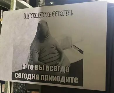 Но ты приходи приходи