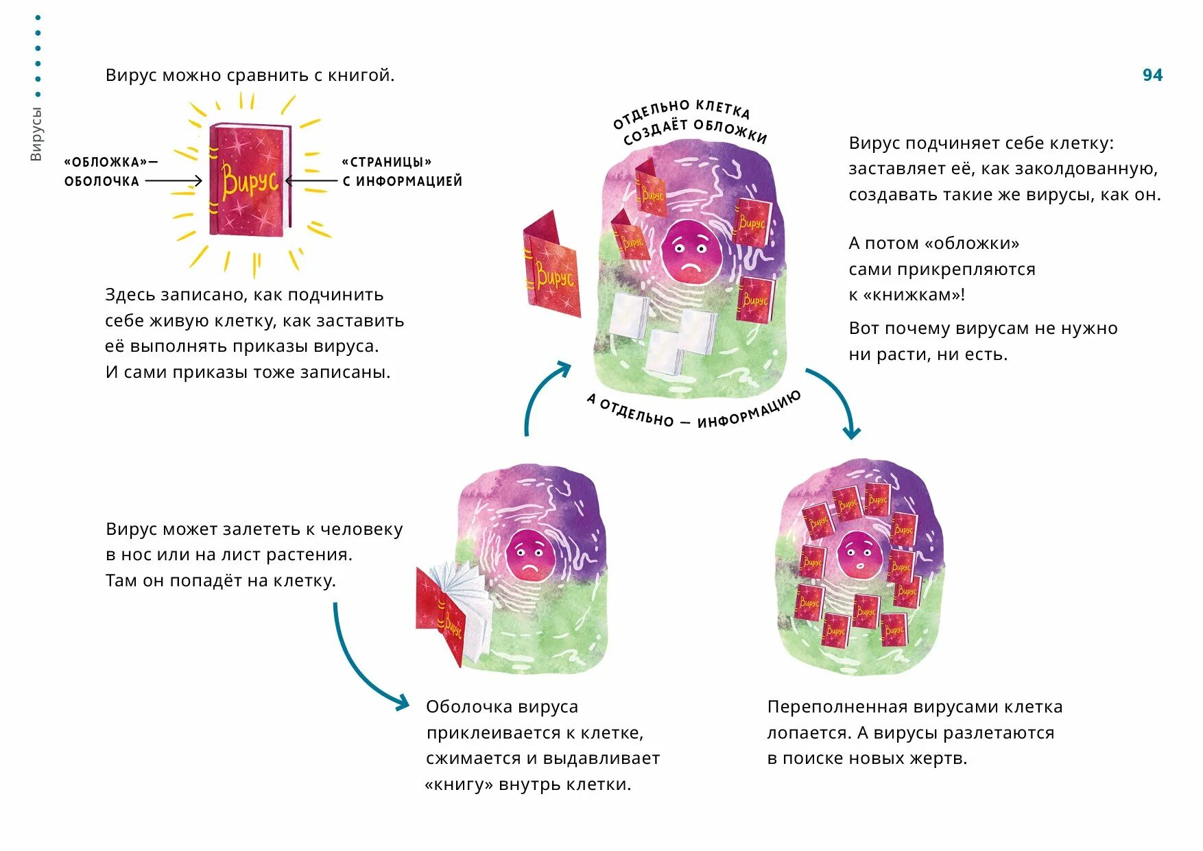 Вирусы имеют неклеточное строение. Почему вирус не клетка. Почему вирус не клетка. Почему вирус не клетка. Вирусы не имеют.