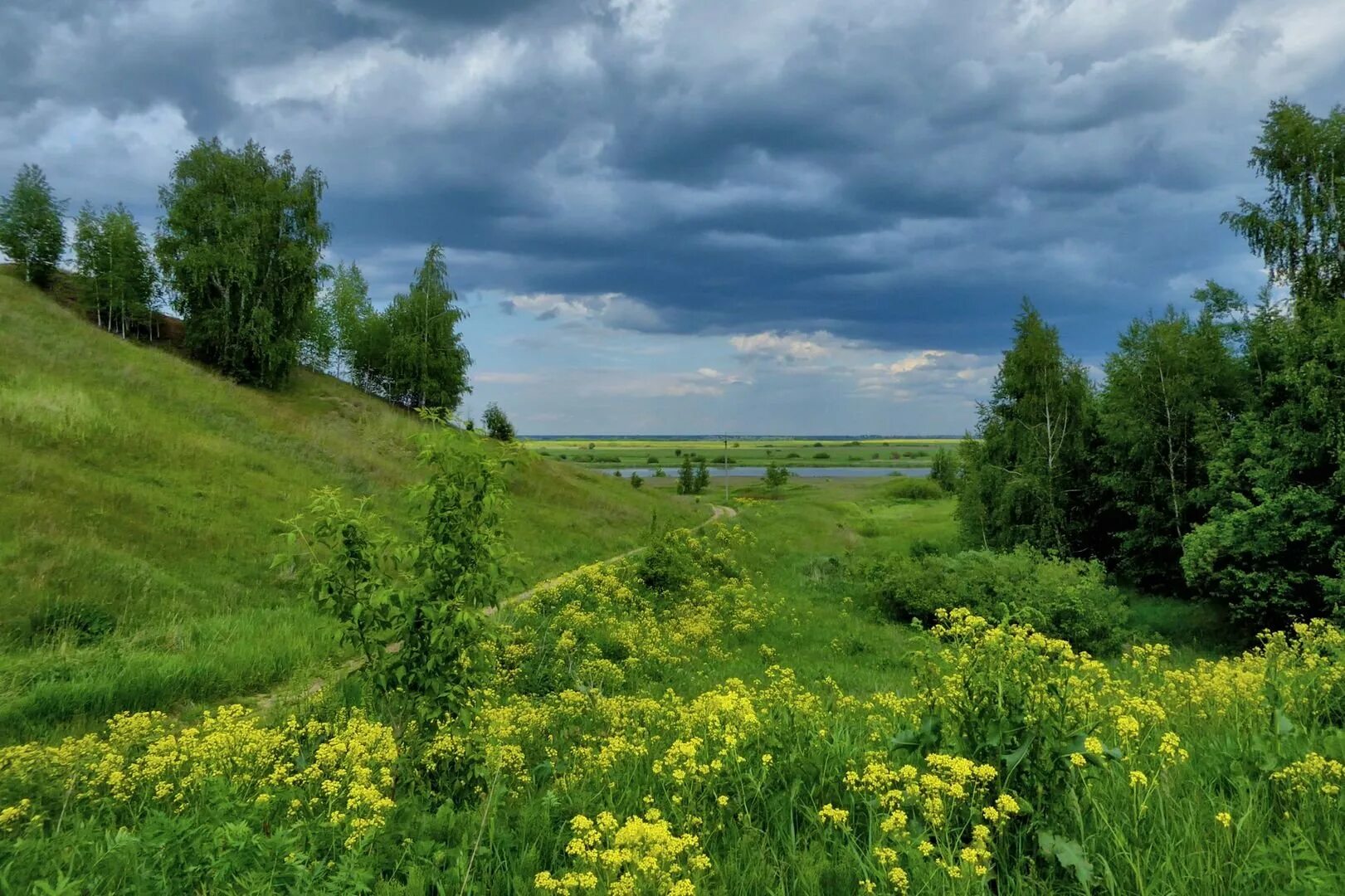 Картинка родная природа. Луга Удмуртии. Жабенский луг. Луга Вологодской области. Брянский лес лесостепь.