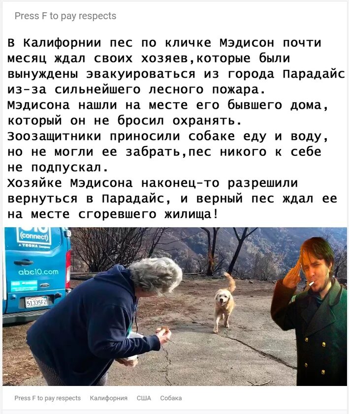 Press f to pay respect откуда. Что означает Press f в мемах. Пресс ф Мем что значит. Что означает press