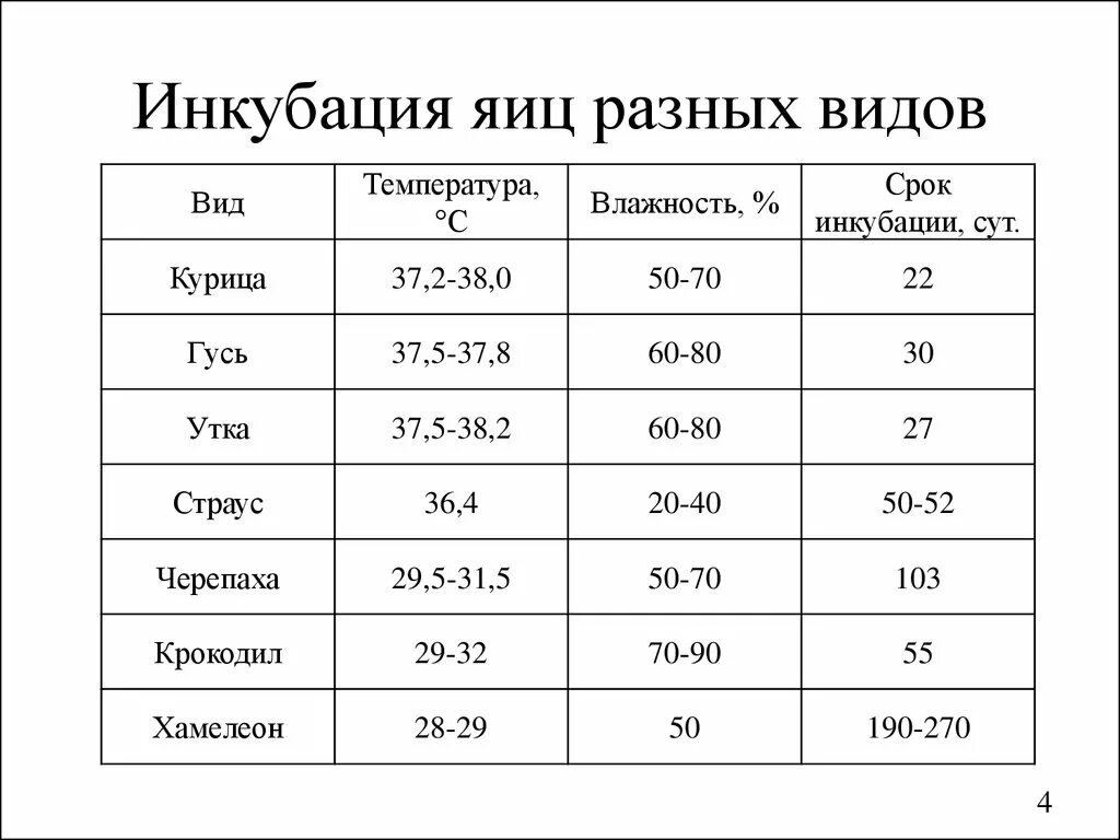 Таблица температуры инкубации куриных яиц по дням. Таблица температуры вывода яиц в инкубаторе. Инкубация куриных яиц таблица температура. Температура вывода цыплят в инкубаторе таблица. Температура в инкубаторе для утиных яиц таблица.