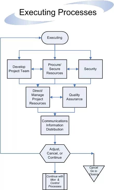Program flow. Project Management process. Program execution Management. Project Flow Chart. Flow Chart PMP.