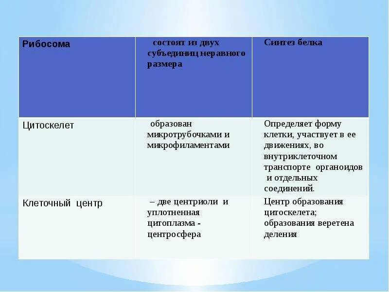 Клеточный центр особенности строения и функции таблица. Цитоскелет особенности строения и функции. таблица строение клетки цитоскелет. таблица эукариотическая клетка цитоскелет. цитоскелет строение и функции таблица.
