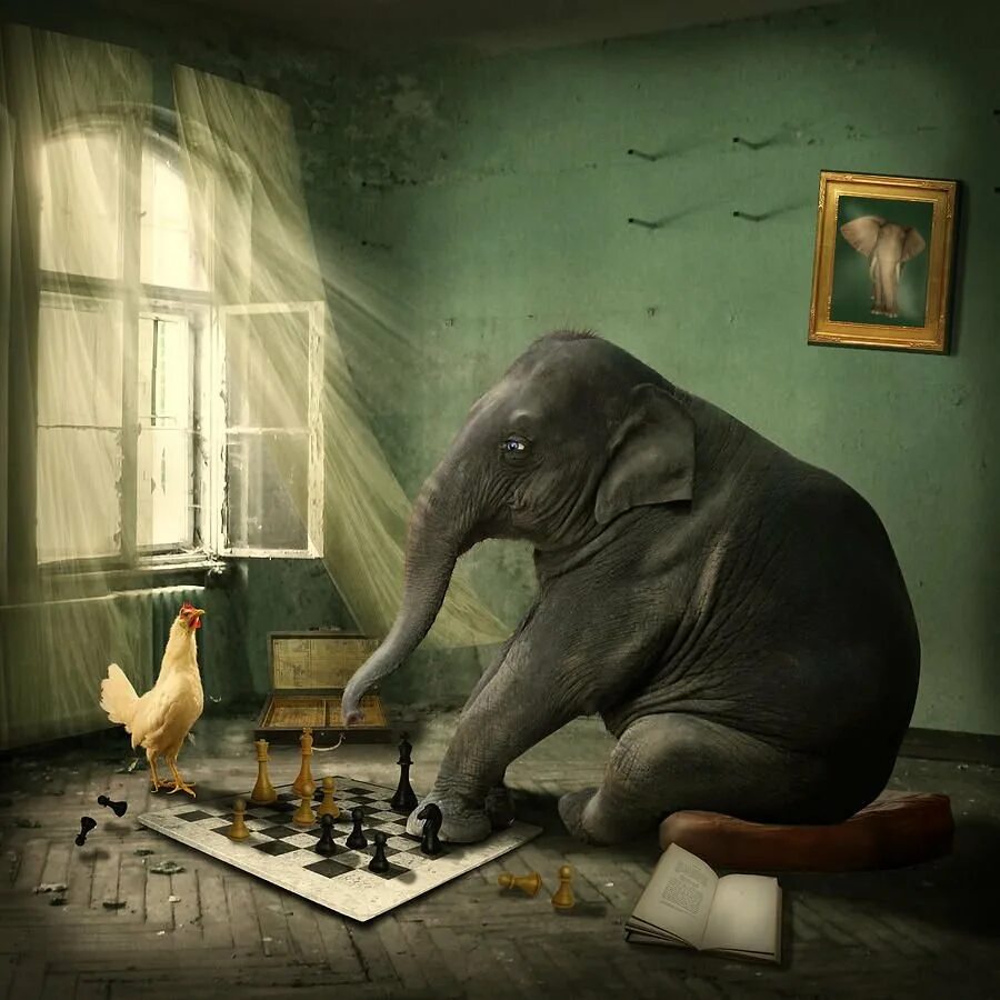 Игра где слон. Слон сюрреализм. Смешной слон. Шахматы картина. Картина слон в шахматах.
