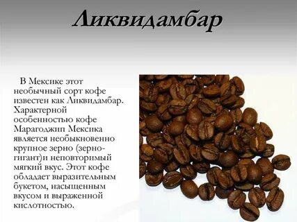 Сорта кофе названия