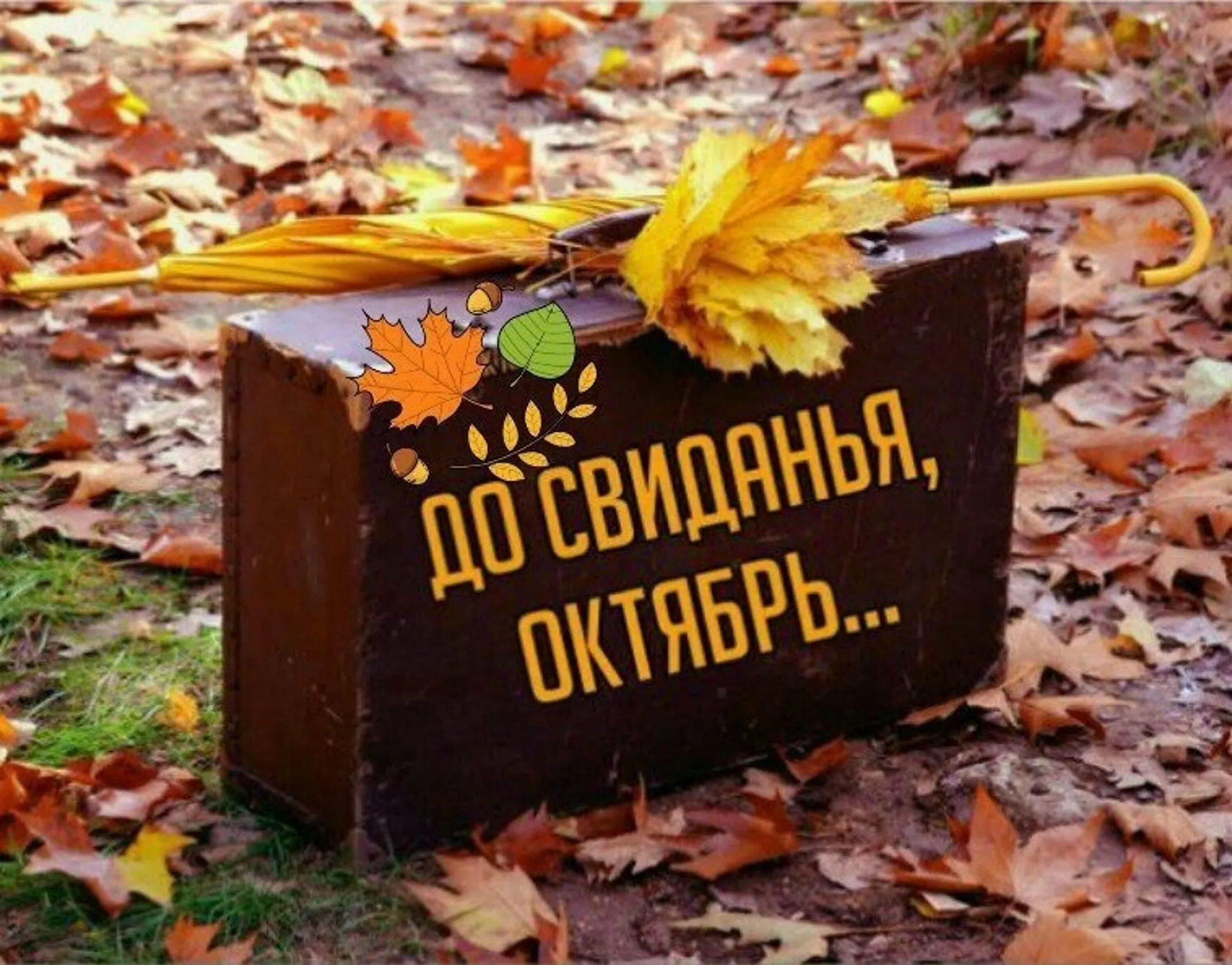 Ухожу до свидания