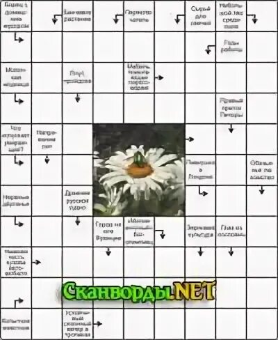 Цветные кроссворды от belko 61 40 40 забавная пчелка. Скандинавский кроссворд сканворд. Завсегдатай зоопарка с мольбертом сканворд 9. Кроссвордики для детей. Фотокроссворд в одноклассниках уровень 13.