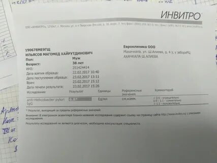 Лидокаин инвитро
