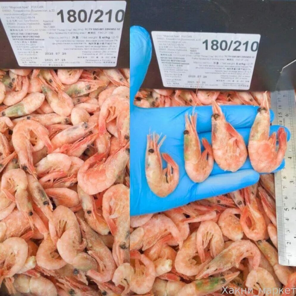 креветки polar 90/120. креветка северная 90/120. креветка северная китай 120+. креветка 90 фото. креветки северные 90/120 polar.