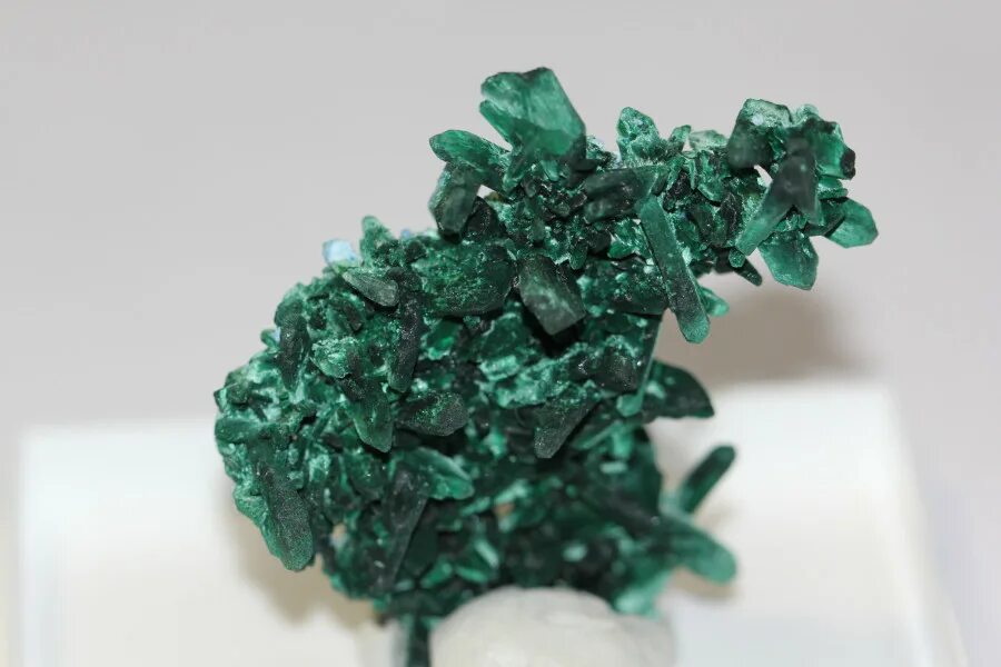 уральские горы малахит. малахит камень заирский. малахитовая шкатулка cu2+. малахит горная порода. уральские самоцветы камни малахит.