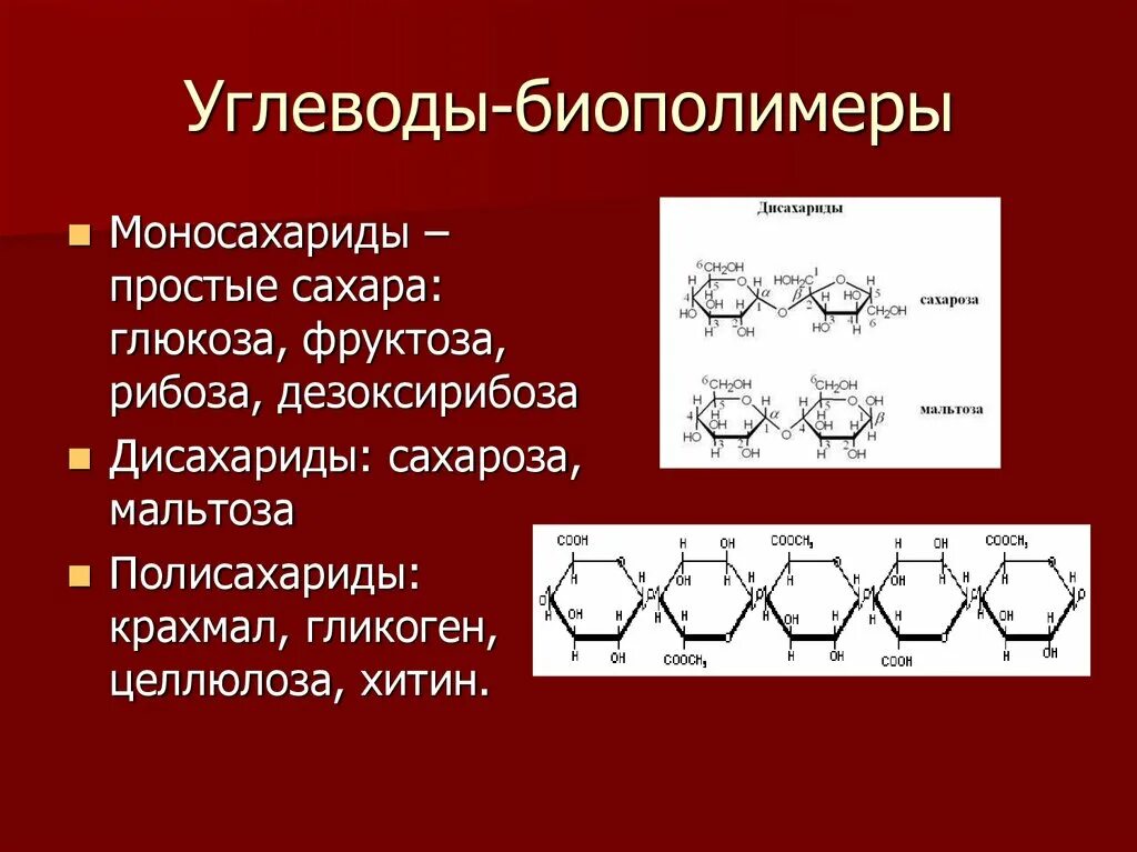 Строение полимеров углеводов. Биополимеры полисахариды. Биополимеры углеводы липиды. Структура полимера углеводов.