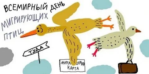 День миграции птиц