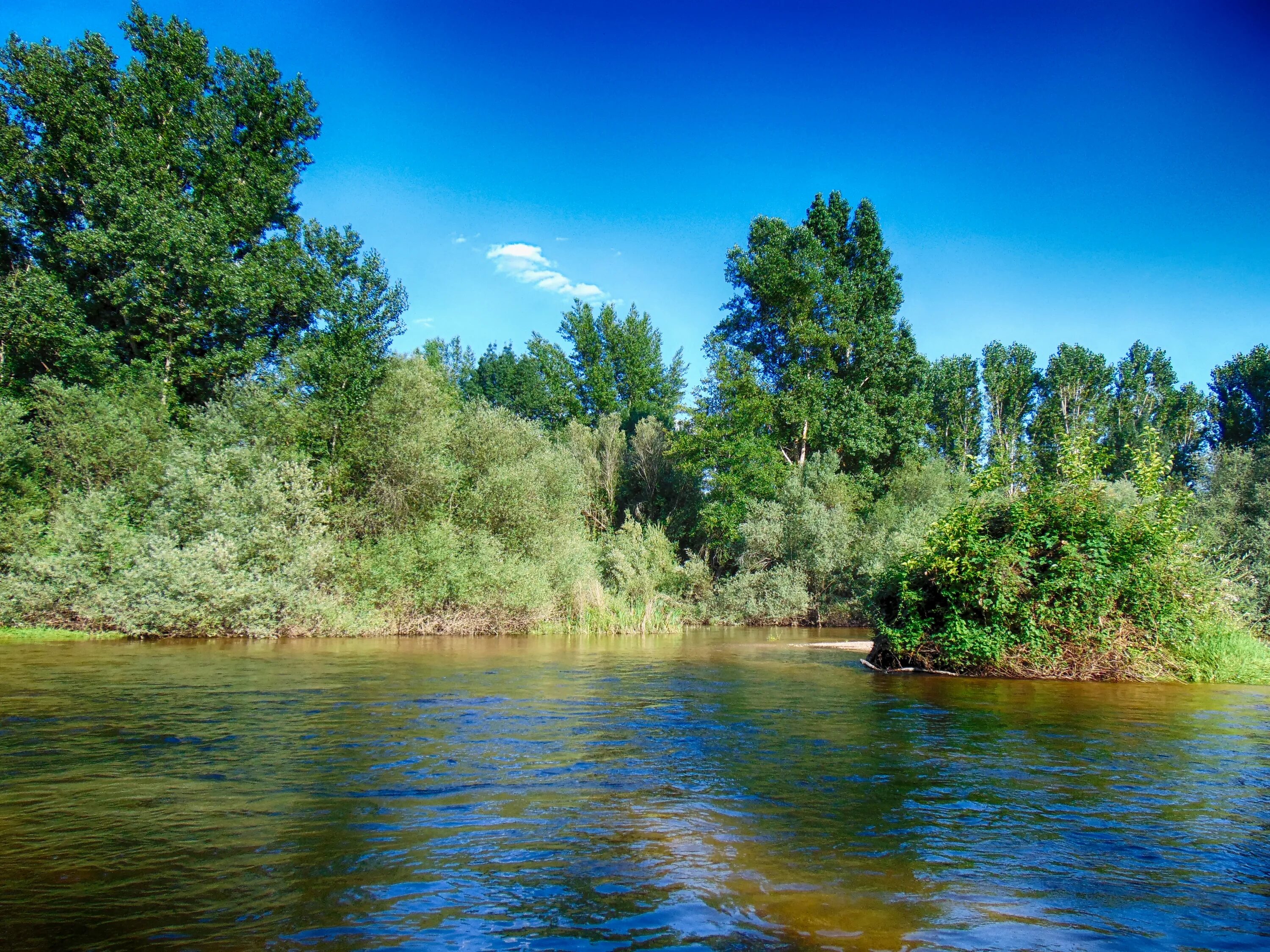 Вода река. Лето река. Река вода лето. Панорама вода река.