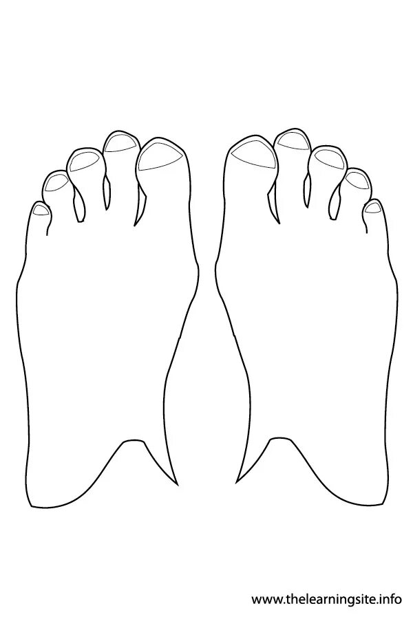 Foot parts. Ноги рисунок. Feet нарисованные. Toes мультяшная. Flashcards feet для детей раскраска.