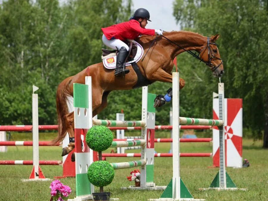 Анна чарковская конный спорт. Конный инструктор. Конный инструктор. Тренер по конному спорту. Инструктор верховой езды.