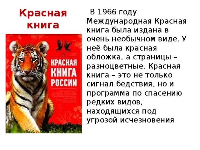 Проект про международную красную книгу Конспект урока по окружающему миру 3 класс "Охрана животных"