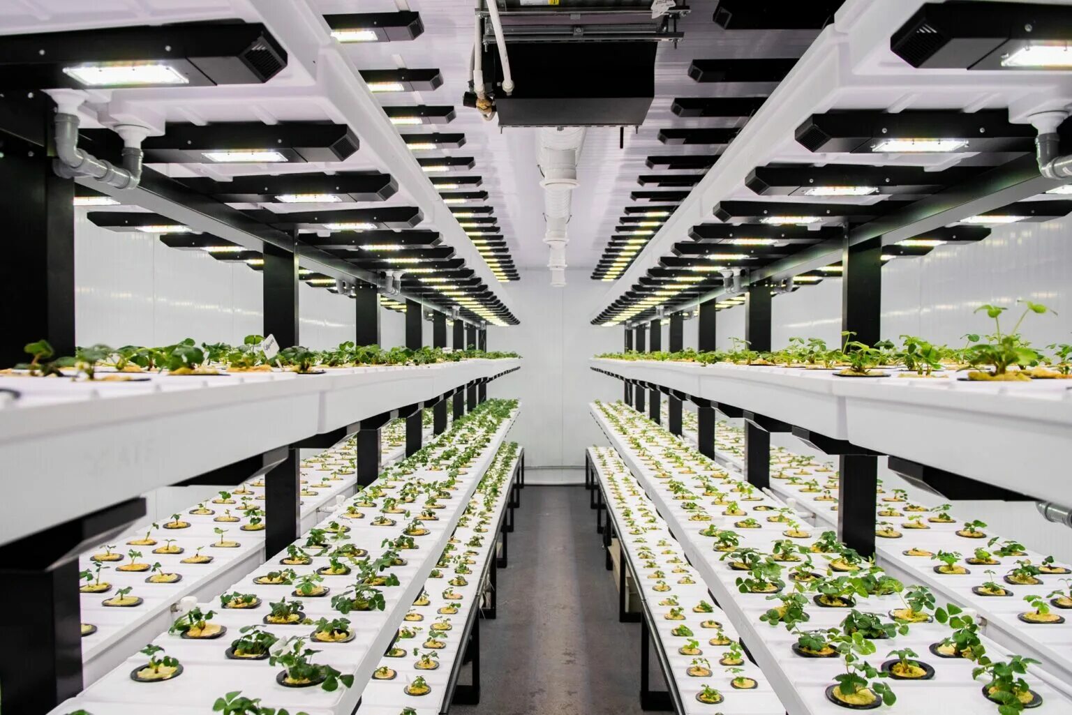 Modern farming methods allow