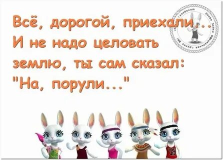 Дорогой я приехала