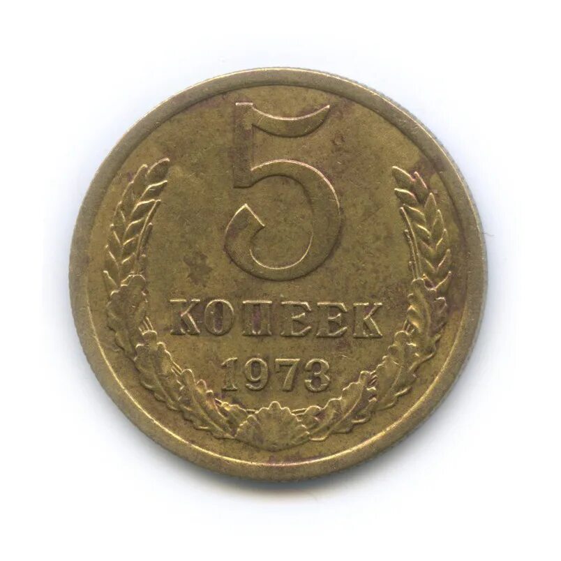 1973 год купить. Монета 5 копеек 1973. Монета 5 копеек 1973 m120501. Монеты 1 копейка СССР 1973. Монета СССР 1973 1 коп..