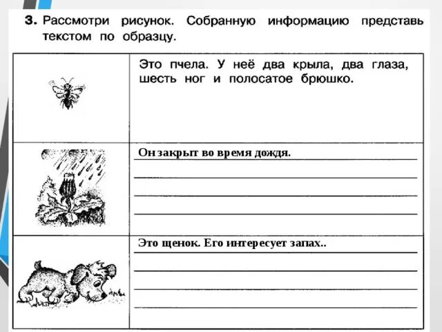 Рассмотри рисунок дополни текст. Представить картинку в виде текста. Рассмотри рисунок и дополни таблицу Информатика. Рассмотририсунокидополнитаблицустраница 74 поинформатике. История 5 класс карточка рассмотрите рисунок решение.