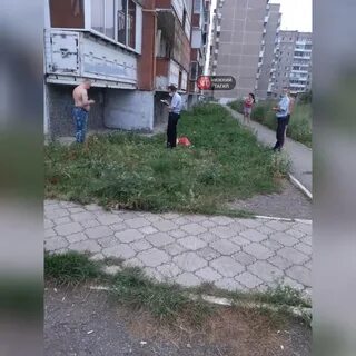 Девочка выпала из окна нижний