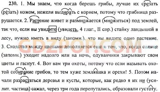 Растение живёт и размножается под землёй так что. Мы знаем что когда берешь грибы разбор. Русский язык 9 класс номер 43