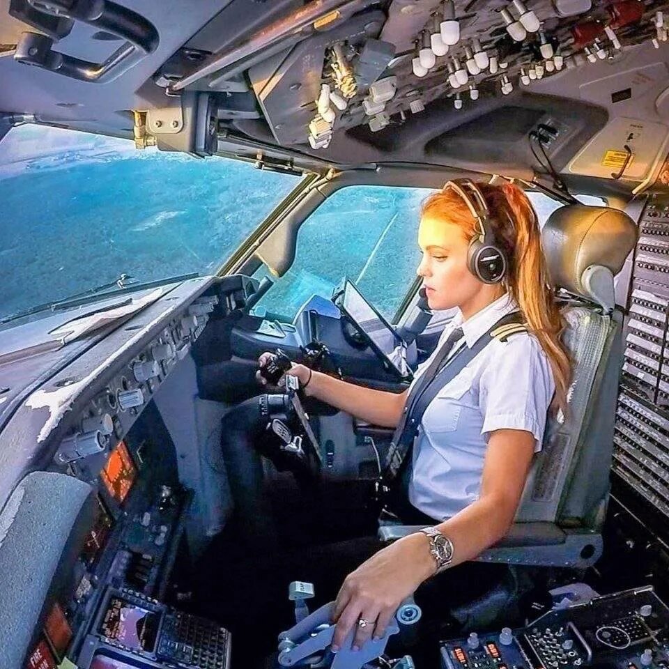 Pilot assistant