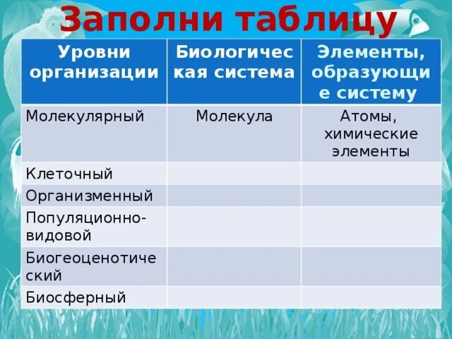 Элементы образующие молекулярную систему. Компоненты образующие систему молекулярного уровня. лестница жизни биология 9 класс. сравнение биологическая система и элементы образ систему.