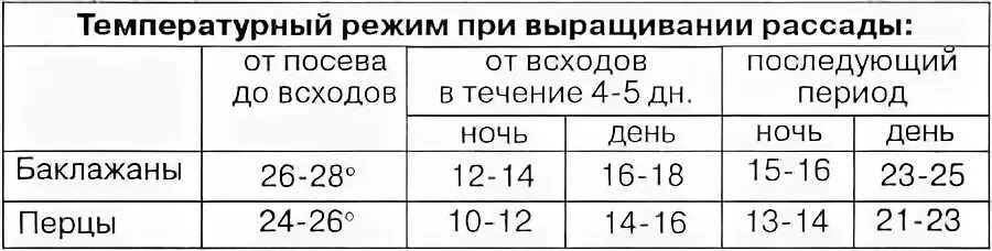 Оптимальная температура для перцев