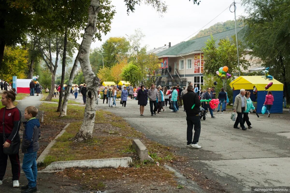 Город Дальнегорск. Бульвар Дальнегорск. Дальнегорск сейчас. Ярмарки в Дальнегорске.