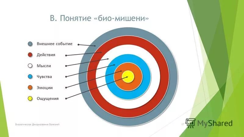 Иконка экологически чистый продукт. Био психо социо духовная. Понятие о гельминтах. Био психо социо духовная. Биотехнология презентация.