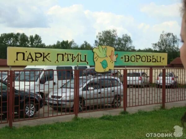В парке птиц воробьи можно отдохнуть на природе. Санаторий воробьи калужская область. Отзывы пиццерия воробьи калужская область. Отзывы пиццерия воробьи калужская область. Парк воробьи дом отдыха.