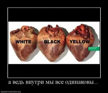 Нормальные внутри