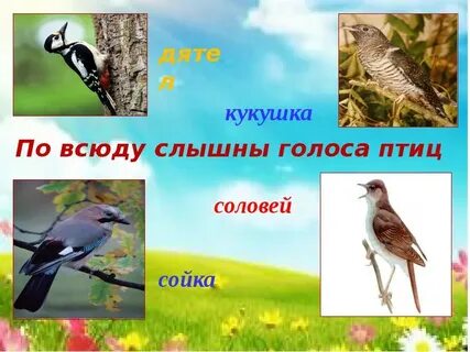 Повсюду слышно